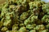Marijuana